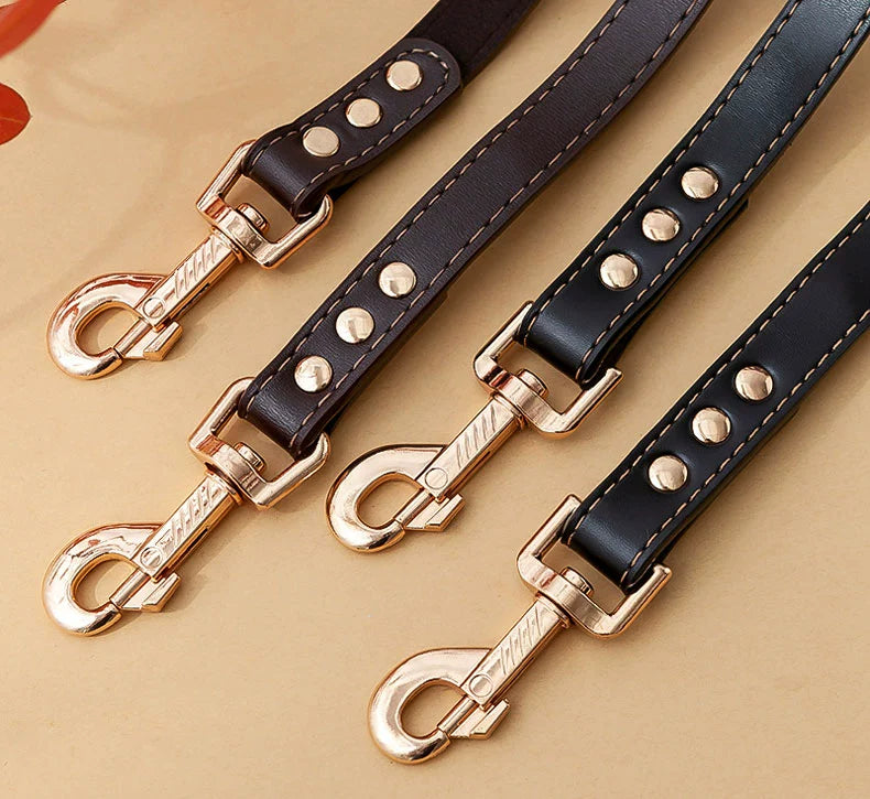 Leather Collar/Leash