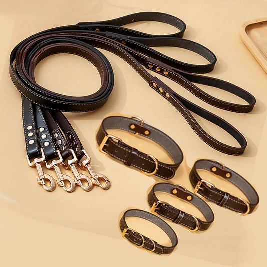 Leather Collar/Leash