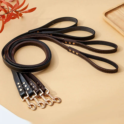 Leather Collar/Leash