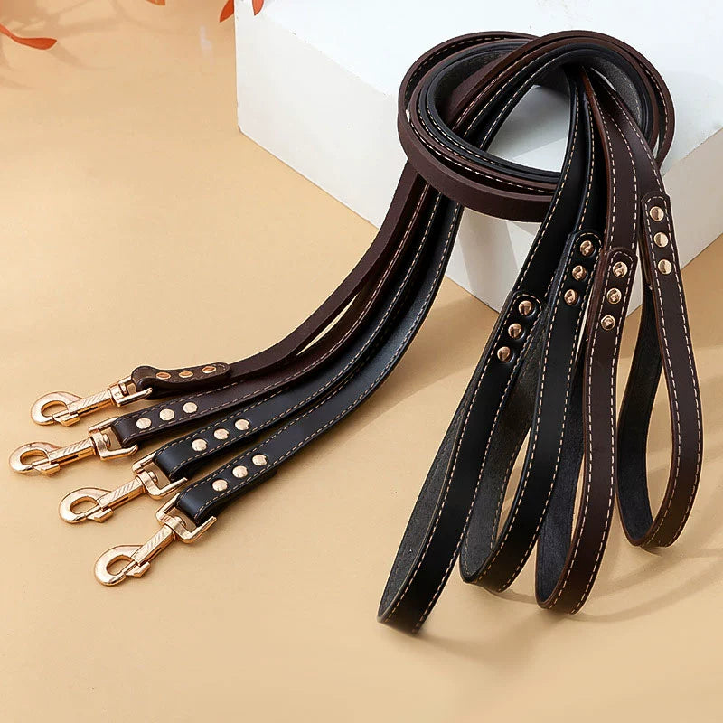 Leather Collar/Leash