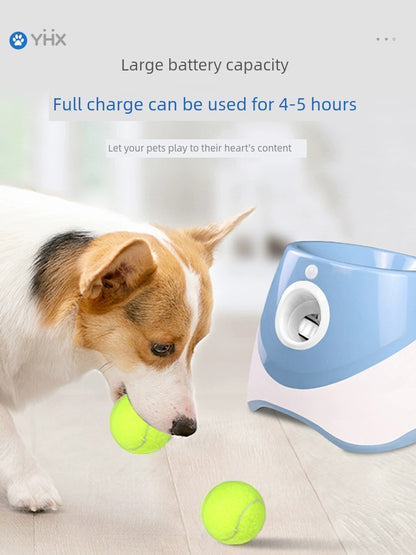 FetchMaster: Automatic Ball Pitcher for Dogs