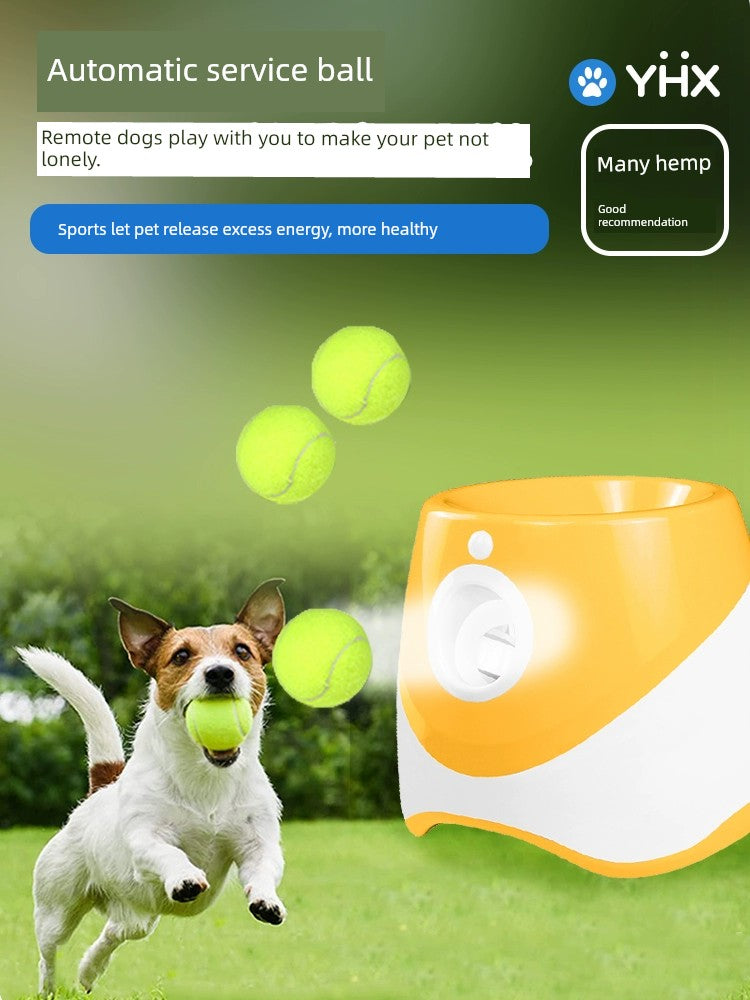 FetchMaster: Automatic Ball Pitcher for Dogs